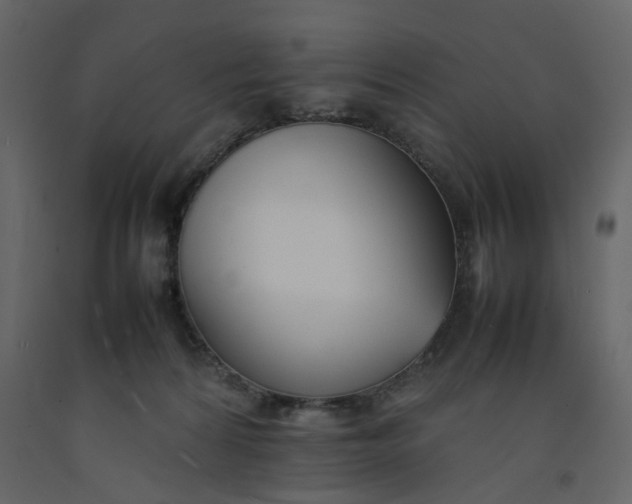 X0000092240224200710051245