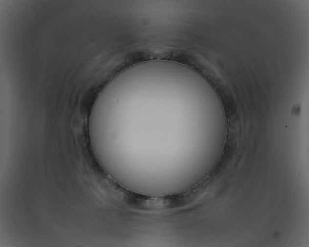 X0000092240225200710051245