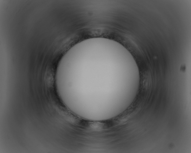 X0000092240226200710051245