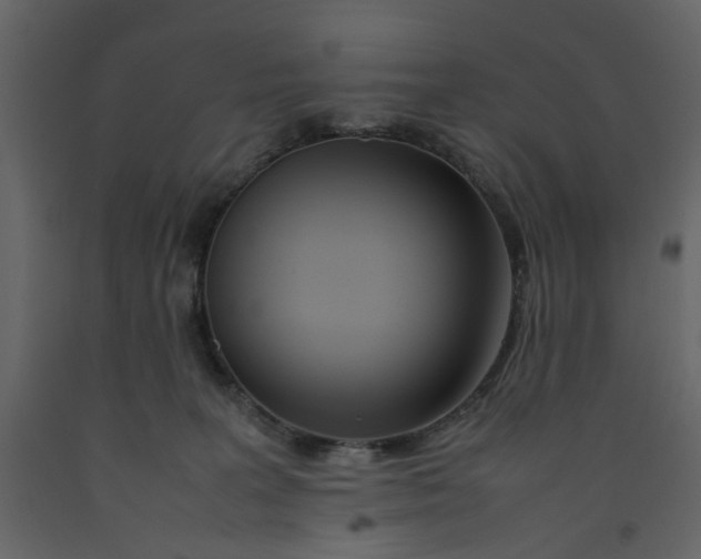 X0000092240227200710051245