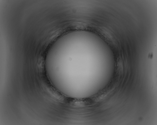 X0000092240228200710051245