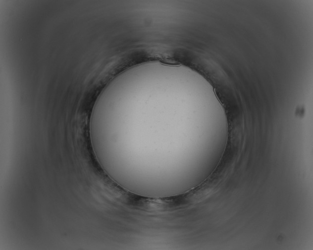 X0000092240229200710051245