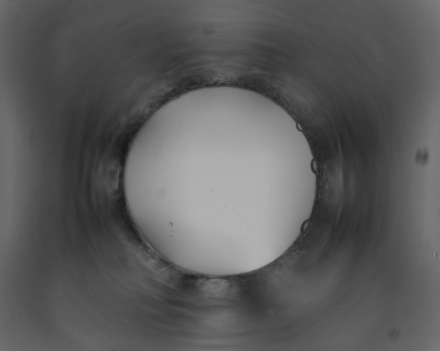 X0000092240230200710051245