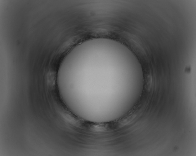 X0000092240232200710051245