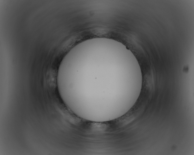 X0000092240234200710051245