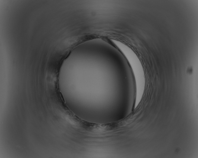 X0000092240235200710051245