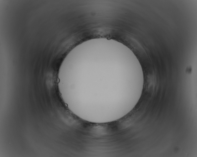 X0000092240236200710051245