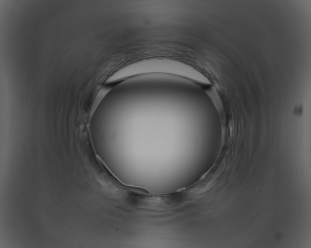 X0000092240237200710051245