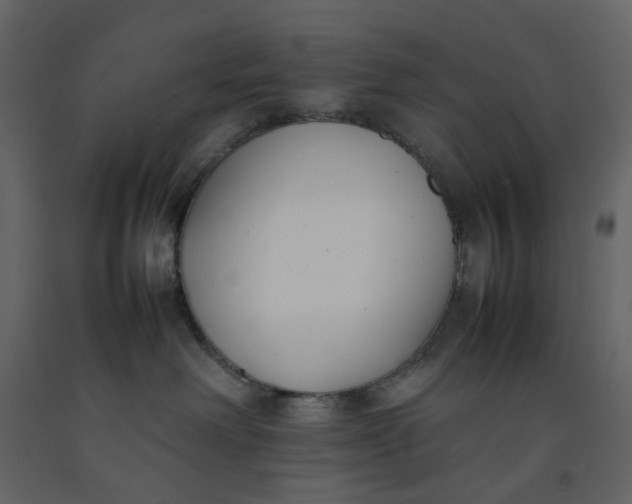 X0000092240238200710051245
