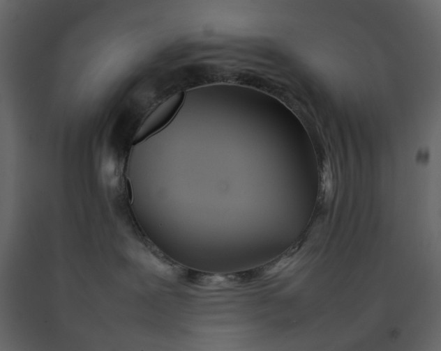 X0000092240239200710051245