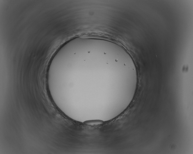 X0000092240241200710051244