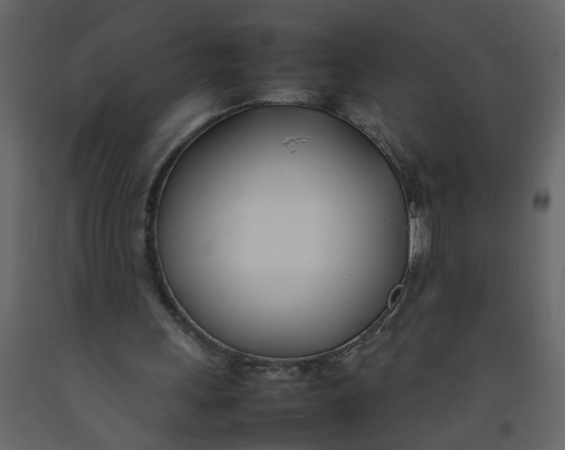 X0000092240243200710051244