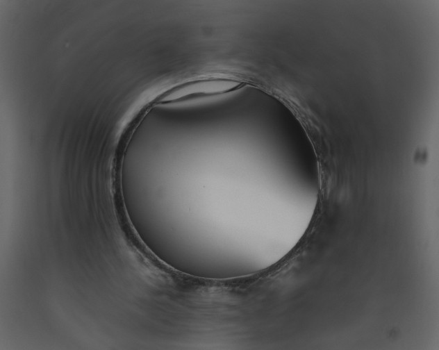 X0000092240244200710051244