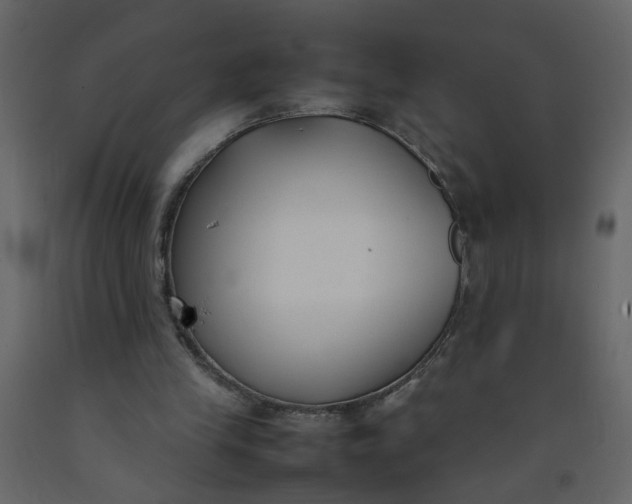X0000092240245200710051244