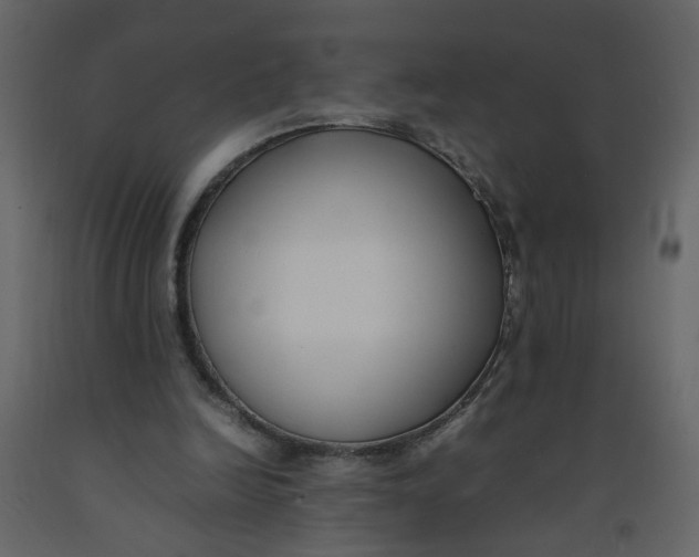 X0000092240246200710051244
