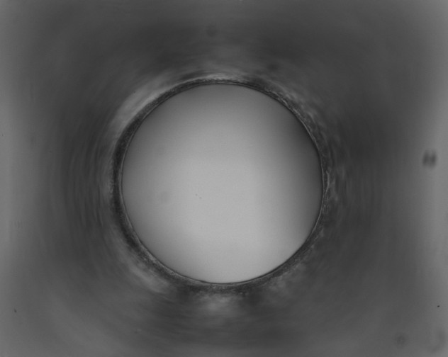 X0000092240247200710051244