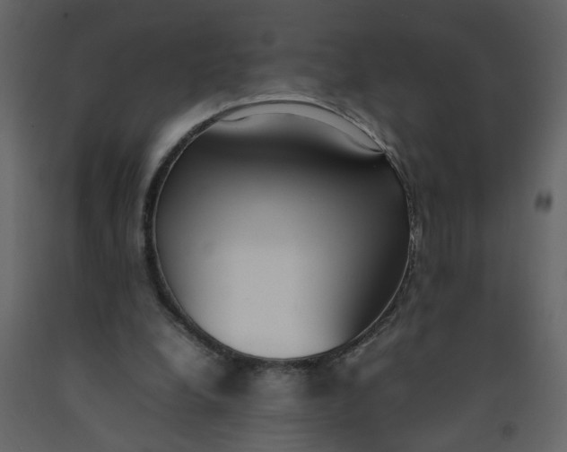 X0000092240248200710051244