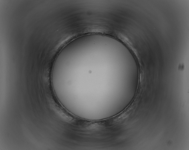 X0000092240249200710051244