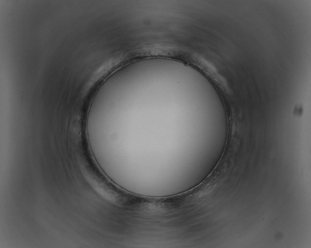 X0000092240250200710051244