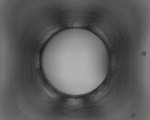 X0000092240251200710051244