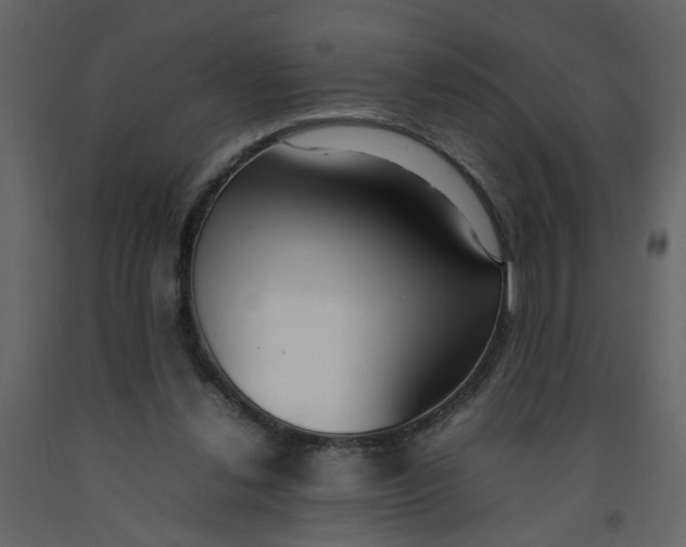 X0000092240252200710051244