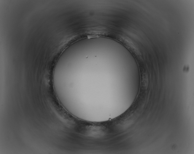 X0000092240255200710051244