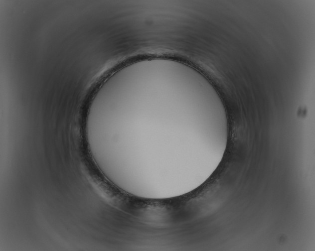 X0000092240256200710051244