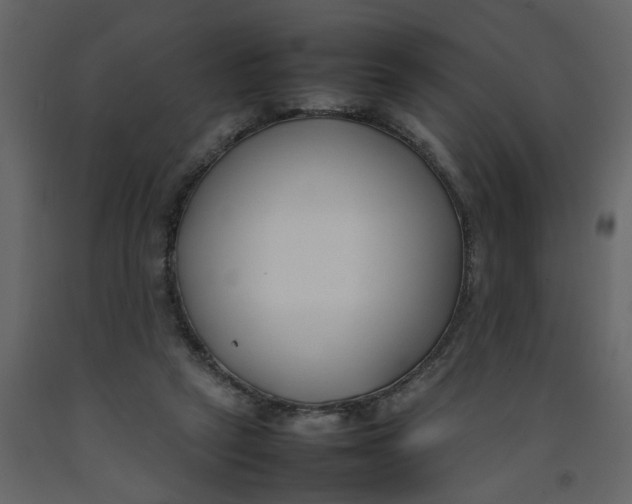X0000092240257200710051244