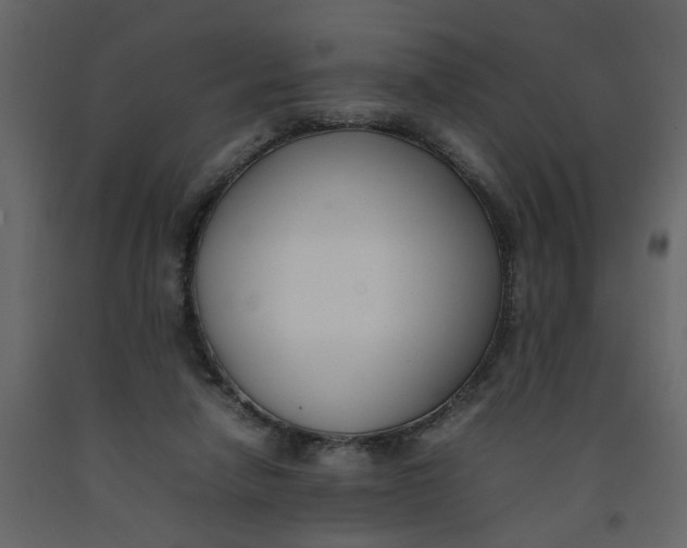 X0000092240258200710051244