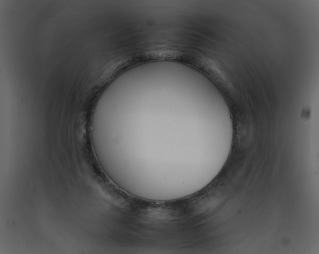X0000092240259200710051244