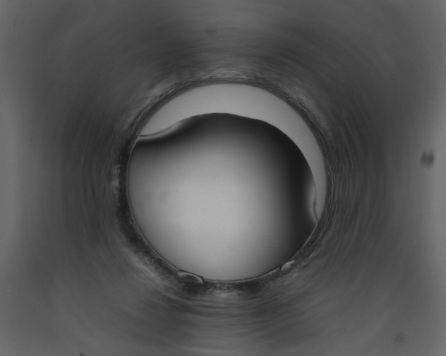 X0000092240260200710051244