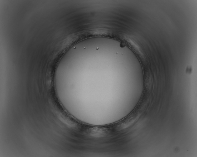 X0000092240261200710051244