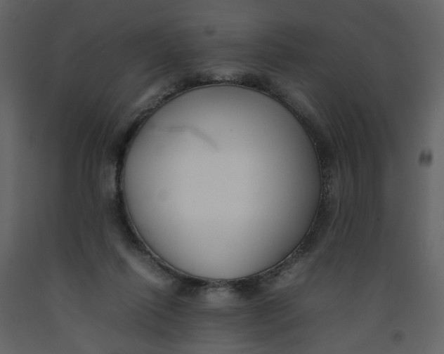 X0000092240262200710051244