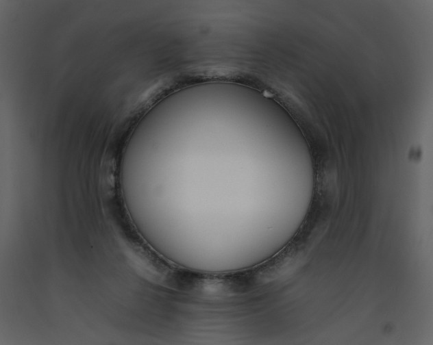X0000092240264200710051244
