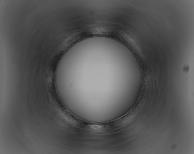 X0000092240265200710051244