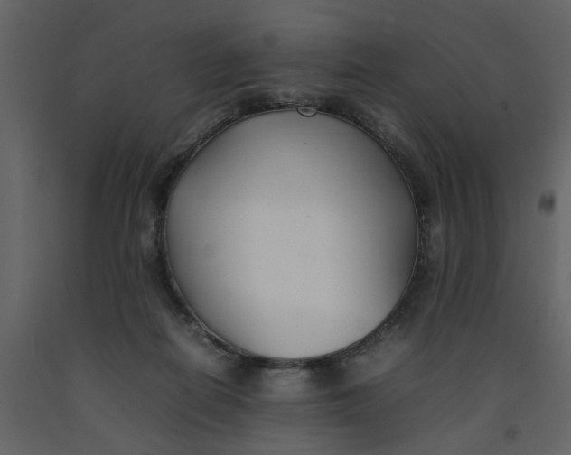 X0000092240266200710051244
