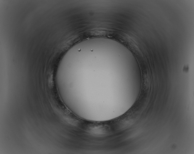 X0000092240267200710051244