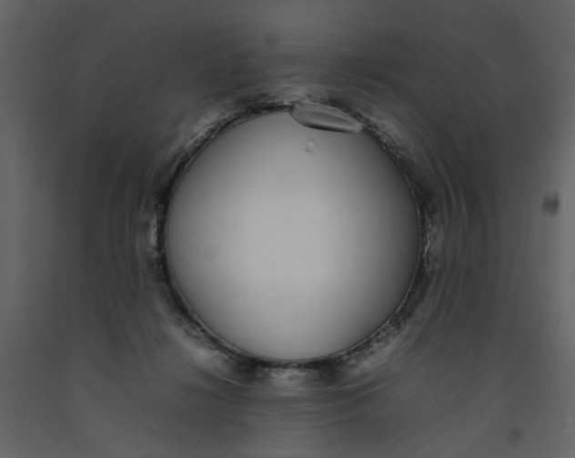 X0000092240268200710051244