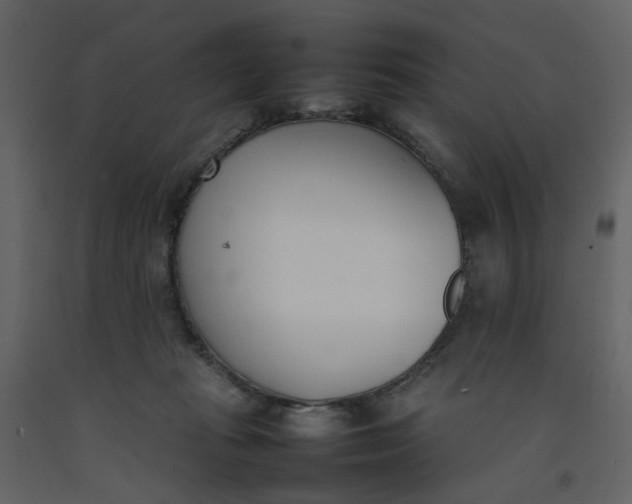 X0000092240269200710051244