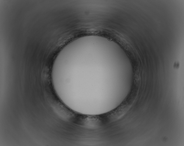 X0000092240270200710051244