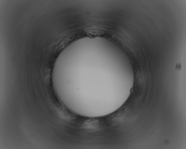 X0000092240271200710051244