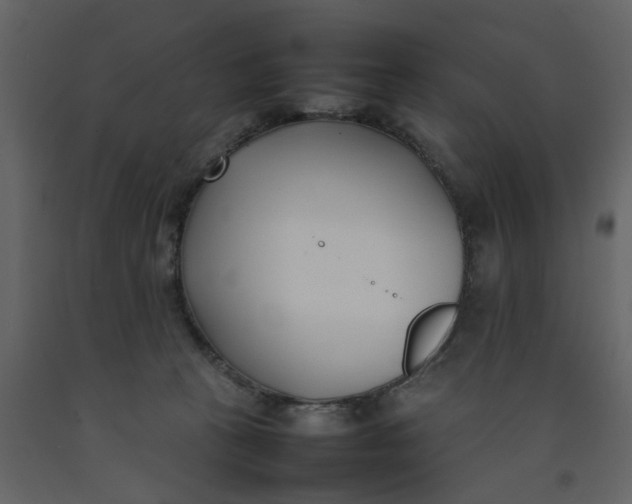 X0000092240273200710051244