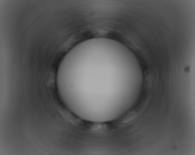 X0000092240274200710051244