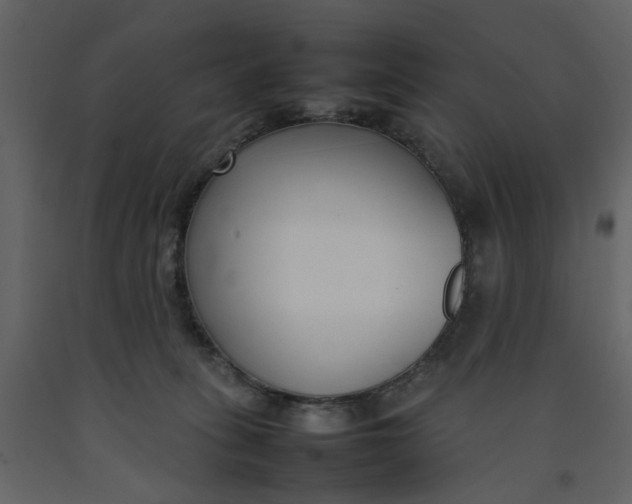 X0000092240275200710051244