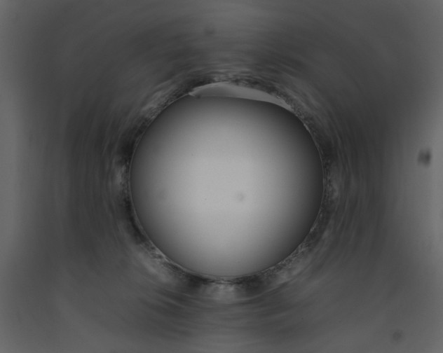 X0000092240276200710051244