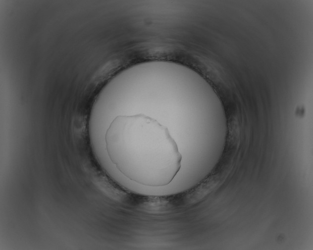 X0000092240278200710051244