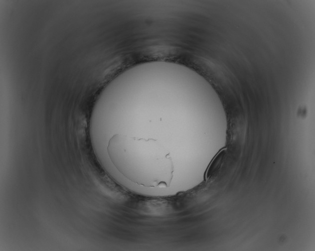 X0000092240279200710051244