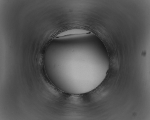 X0000092240280200710051244