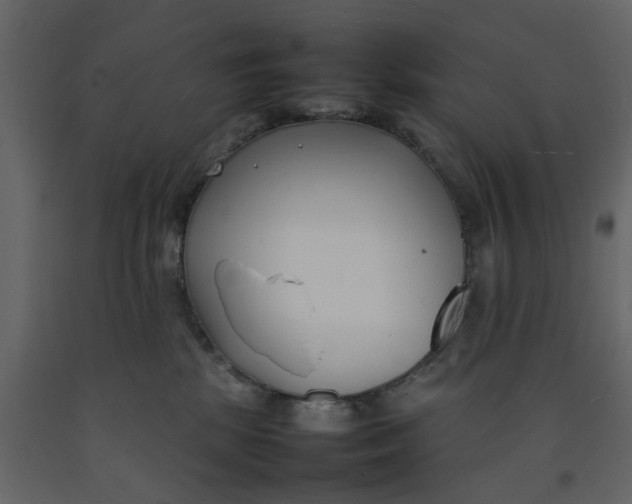 X0000092240281200710051244