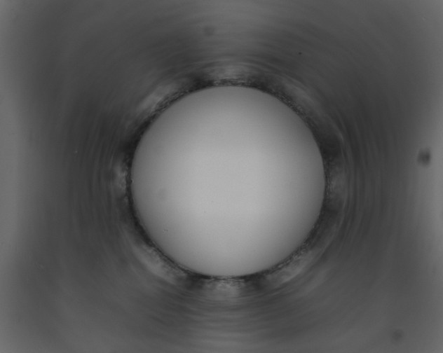 X0000092240282200710051244